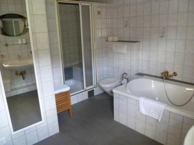 Edelweiss Alpine Guest house *